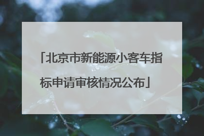 北京市新能源小客车指标申请审核情况公布