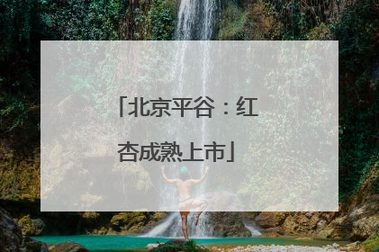 北京平谷：红杏成熟上市