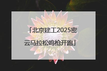北京建工2025密云马拉松鸣枪开跑