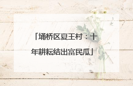 埇桥区夏王村：十年耕耘结出富民瓜