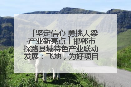 坚定信心 勇挑大梁·产业新亮点丨邯郸市探路县域特色产业联动发展：飞地，为好项目跨域安个家