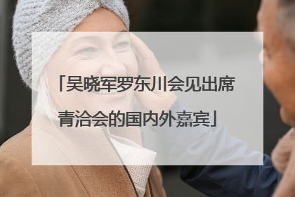 吴晓军罗东川会见出席青洽会的国内外嘉宾