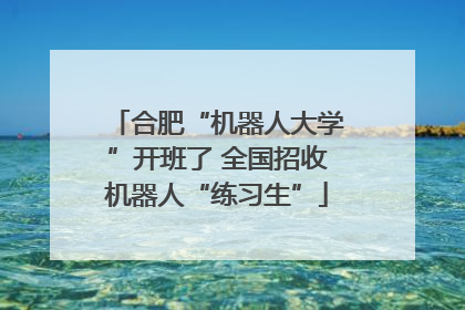 合肥“机器人大学”开班了 全国招收机器人“练习生”