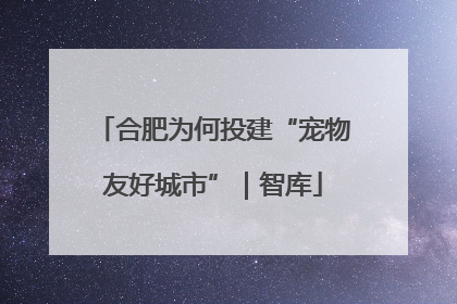 合肥为何投建“宠物友好城市”｜智库