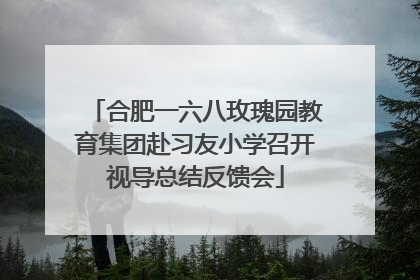 合肥一六八玫瑰园教育集团赴习友小学召开视导总结反馈会