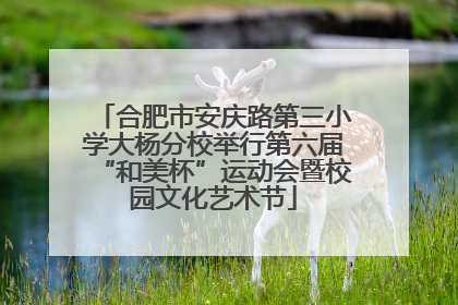 合肥市安庆路第三小学大杨分校举行第六届“和美杯”运动会暨校园文化艺术节
