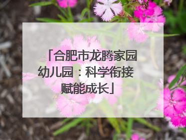 合肥市龙腾家园幼儿园：科学衔接 赋能成长