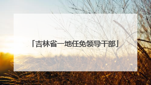 吉林省一地任免领导干部