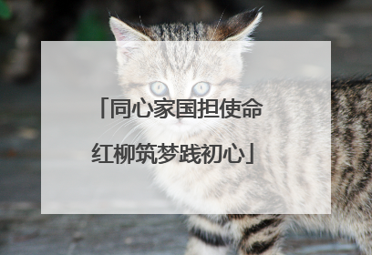 同心家国担使命 红柳筑梦践初心