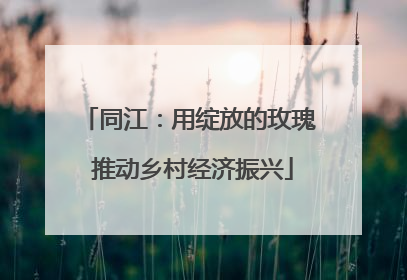 同江：用绽放的玫瑰 推动乡村经济振兴