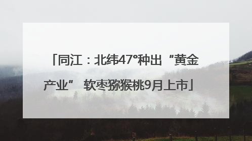 同江：北纬47°种出“黄金产业” 软枣猕猴桃9月上市
