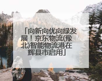 向新向优向绿发展！京东物流(豫北)智能物流港在辉县市启用