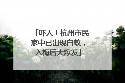 吓人！杭州市民家中已出现白蚁，入梅后大爆发