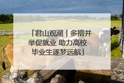 君山观潮｜多措并举促就业 助力高校毕业生逐梦远航