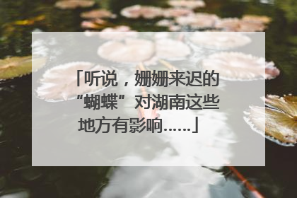 听说，姗姗来迟的“蝴蝶”对湖南这些地方有影响……