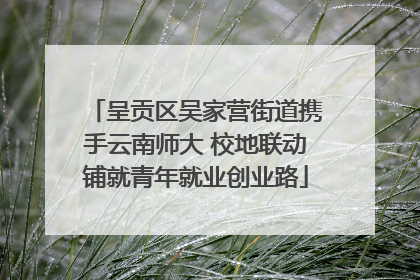 呈贡区吴家营街道携手云南师大 校地联动铺就青年就业创业路