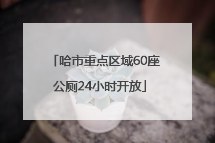 哈市重点区域60座公厕24小时开放