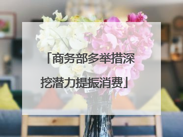 商务部多举措深挖潜力提振消费