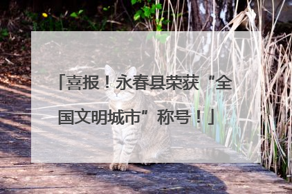 喜报！永春县荣获“全国文明城市”称号！