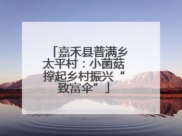 嘉禾县普满乡太平村：小菌菇撑起乡村振兴“致富伞”