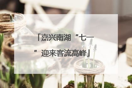 嘉兴南湖“七一”迎来客流高峰
