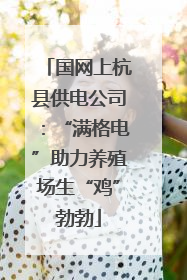 国网上杭县供电公司：“满格电”助力养殖场生“鸡”勃勃