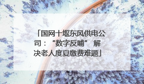 国网十堰东风供电公司：“数字反哺” 解决老人度夏缴费难题