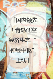 国内领先！青岛低空经济生态“神经中枢”上线