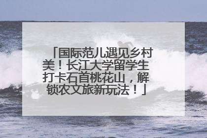 国际范儿遇见乡村美！长江大学留学生打卡石首桃花山，解锁农文旅新玩法！