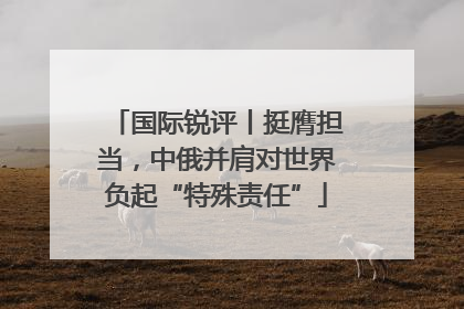 国际锐评丨挺膺担当，中俄并肩对世界负起“特殊责任”