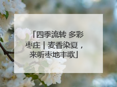 四季流转 多彩枣庄｜麦香染夏，来听枣地丰歌