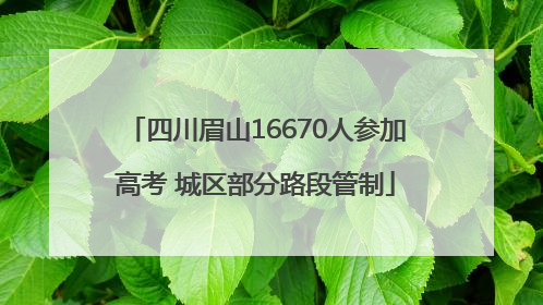 四川眉山16670人参加高考 城区部分路段管制