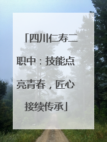 四川仁寿二职中：技能点亮青春，匠心接续传承