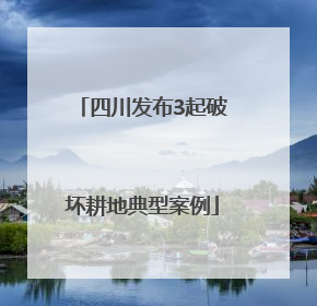 四川发布3起破坏耕地典型案例