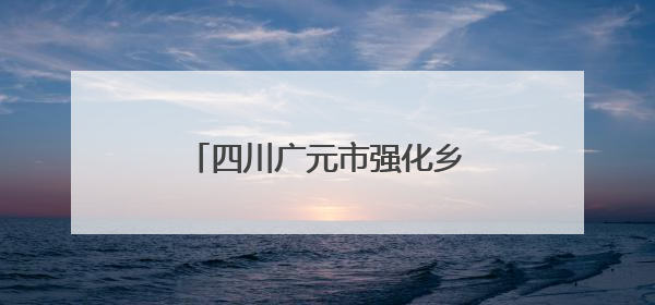 四川广元市强化乡村振兴资金使用监管突出问题专项整治