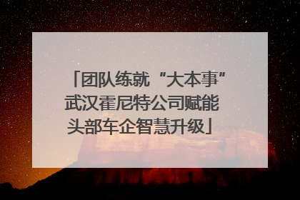 团队练就“大本事” 武汉霍尼特公司赋能头部车企智慧升级