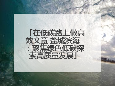 在低碳路上做高效文章 盐城滨海：聚焦绿色低碳探索高质量发展