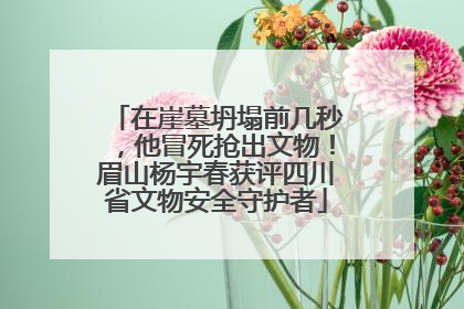 在崖墓坍塌前几秒，他冒死抢出文物！眉山杨宇春获评四川省文物安全守护者