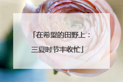在希望的田野上：三夏时节丰收忙