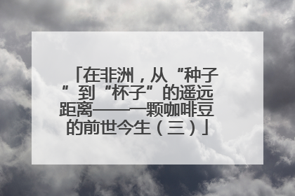 在非洲，从“种子”到“杯子”的遥远距离——一颗咖啡豆的前世今生（三）