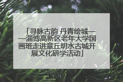 寻脉古韵 丹青绘城——淄博高新区老年大学国画班走进章丘明水古城开展文化研学活动