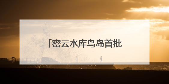 密云水库鸟岛首批幼鸟成功离巢试飞