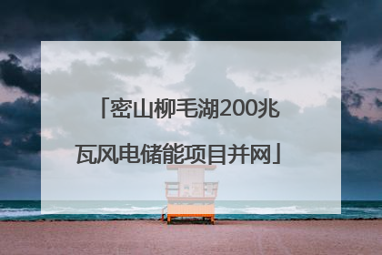 密山柳毛湖200兆瓦风电储能项目并网