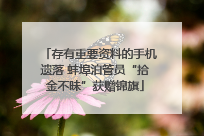 存有重要资料的手机遗落 蚌埠泊管员“拾金不昧”获赠锦旗