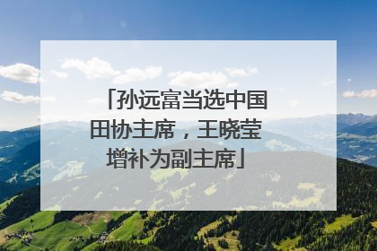孙远富当选中国田协主席，王晓莹增补为副主席
