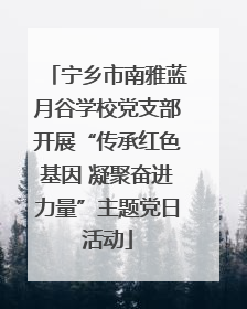 宁乡市南雅蓝月谷学校党支部开展“传承红色基因 凝聚奋进力量”主题党日活动