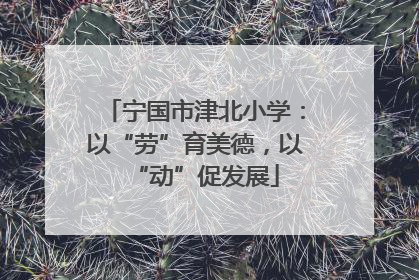 宁国市津北小学：以“劳”育美德，以“动”促发展