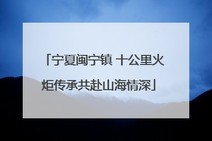 宁夏闽宁镇 十公里火炬传承共赴山海情深