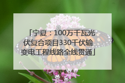 宁夏：100万千瓦光伏复合项目330千伏输变电工程线路全线贯通
