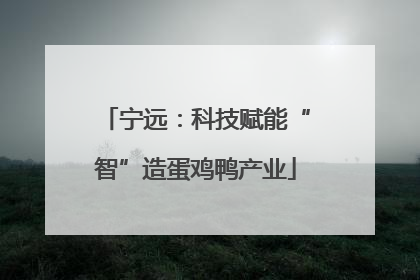 宁远：科技赋能“智”造蛋鸡鸭产业